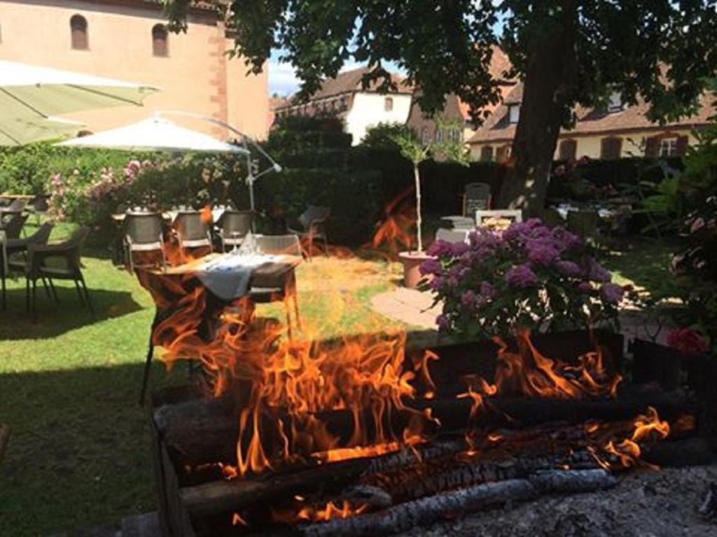 Hotel Du Herrenstein Neuwiller-les-Saverne Екстер'єр фото