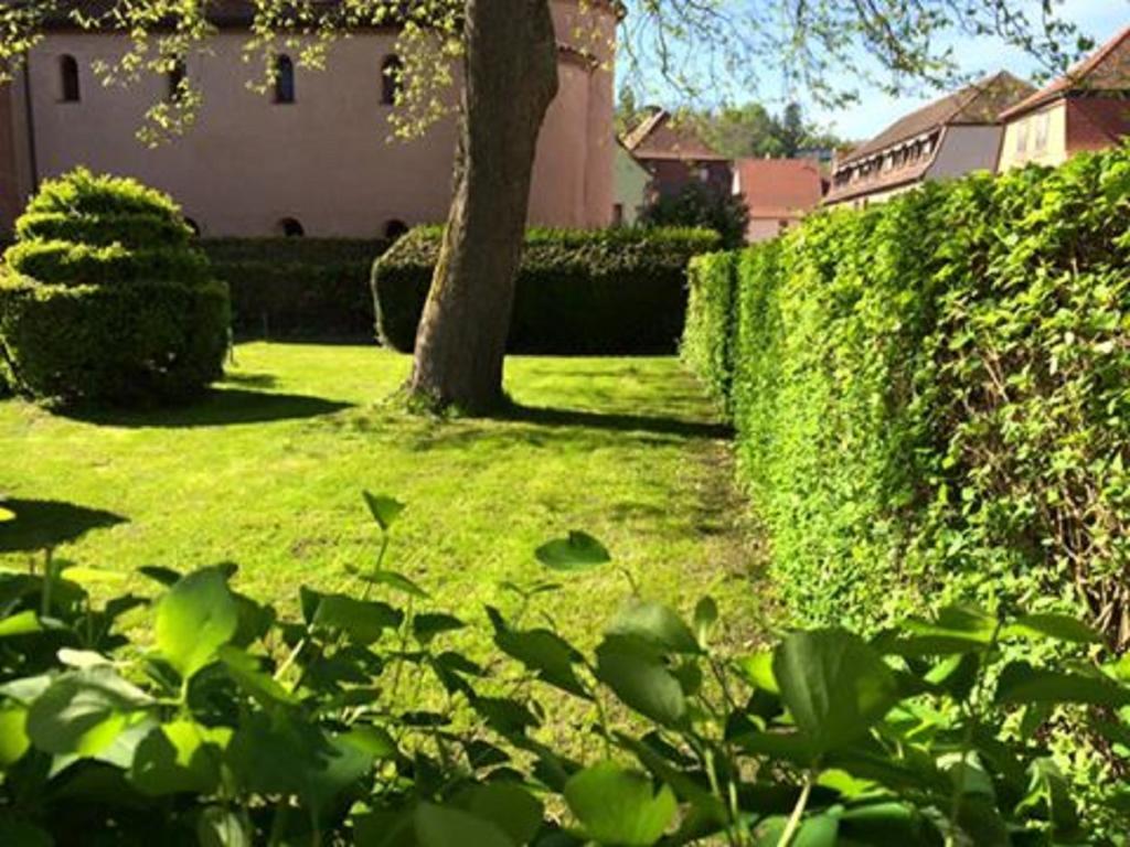 Hotel Du Herrenstein Neuwiller-les-Saverne Екстер'єр фото